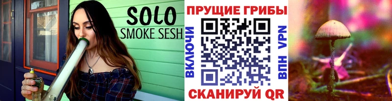 Галлюциногенные грибы Cubensis  Калининск 